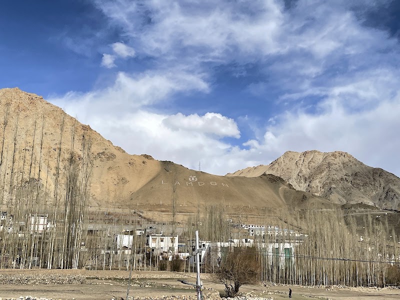 Borgo villa - Borgo villa Khakshal road, near Lamdon school, Leh, 194101