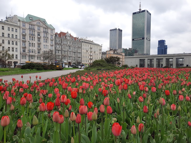 Śródmieście - Śródmieście, Warsaw, Poland