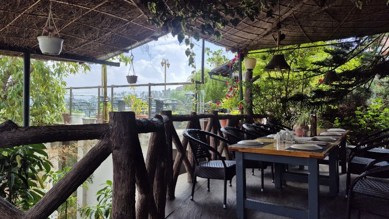 Mohan's Cafe - Mohan's Cafe, Road, near Kasar Devi Temple, Binsar, Mat, Uttarakhand 263601, India