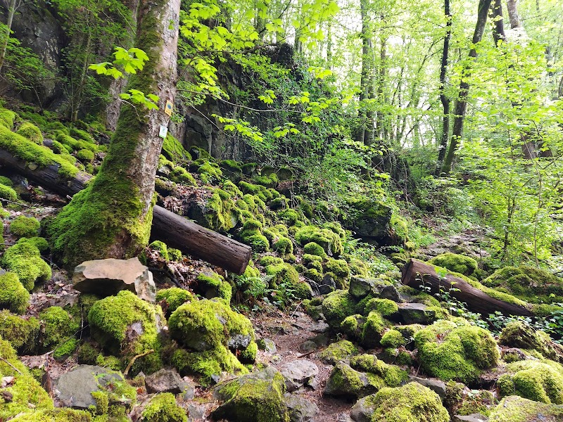 Wolfsschlucht - Wolfsschlucht, 54533 Bettenfeld, Germany