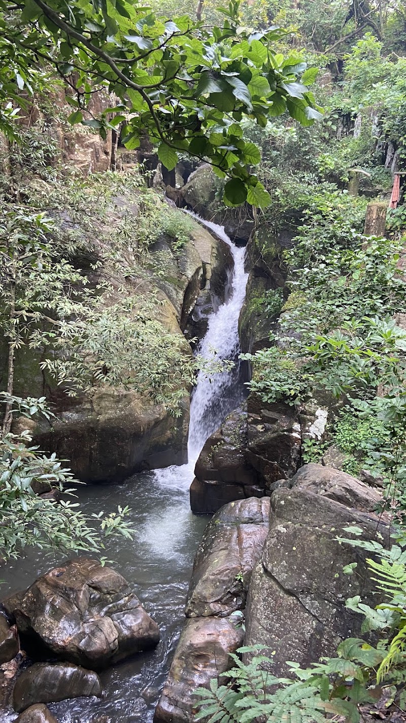 Gandhamardana Hill Reserve - Gandhamardana Hill Reserve, VRFV+226, Mahul Pali, Odisha, India