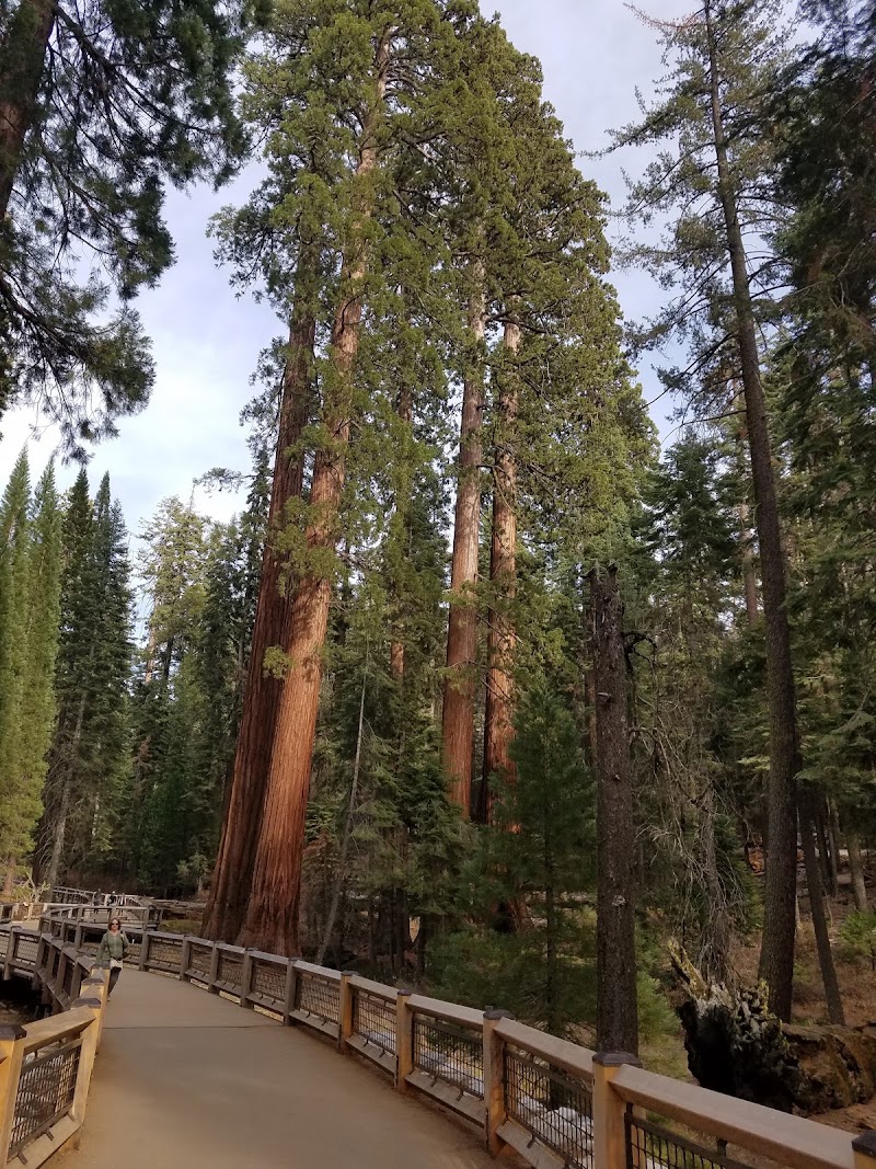 Mariposa - Mariposa Mariposa, CA 95338, USA