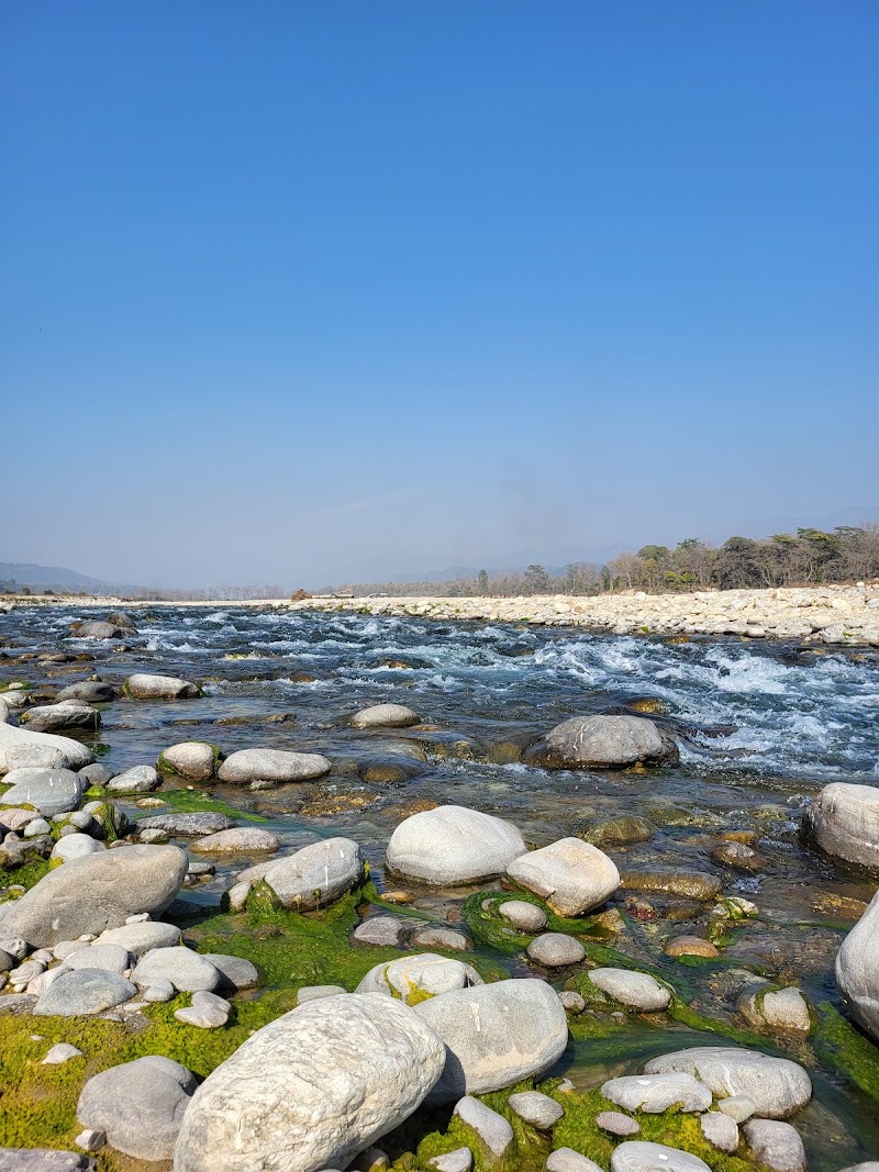 Bijrani Jungle Cottages by VEDAM - Bijrani Jungle Cottages by VEDAM C47H+6V, Dogadda Range, Uttarakhand 244715, India
