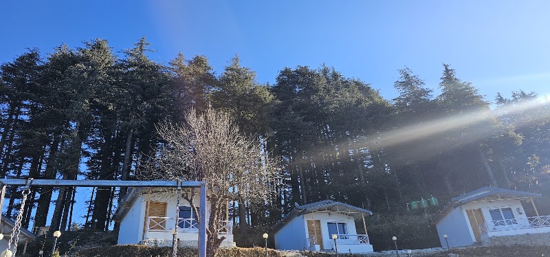 The Deodar stay & dine - The Deodar stay & dine, Kanatal, Kaudia Range, Uttarakhand 249145, India