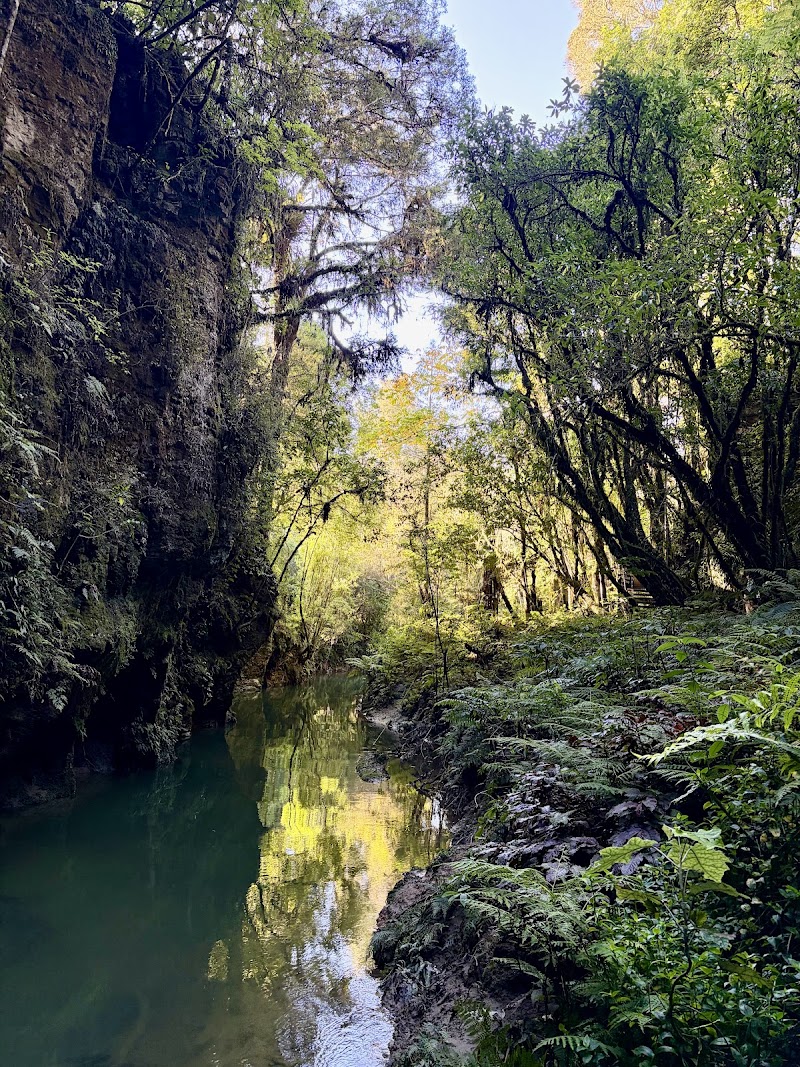 Waitomo Glowworm Caves - Waitomo Glowworm Caves, 39 Waitomo Village Road, Waitomo Caves 3977, New Zealand