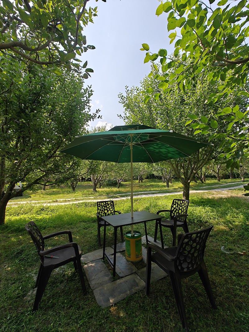 Ivy Lodge farm stay - Ivy Lodge farm stay, Paragliding landing site, Shim Rd, Dobhi, Himachal Pradesh 175129, India
