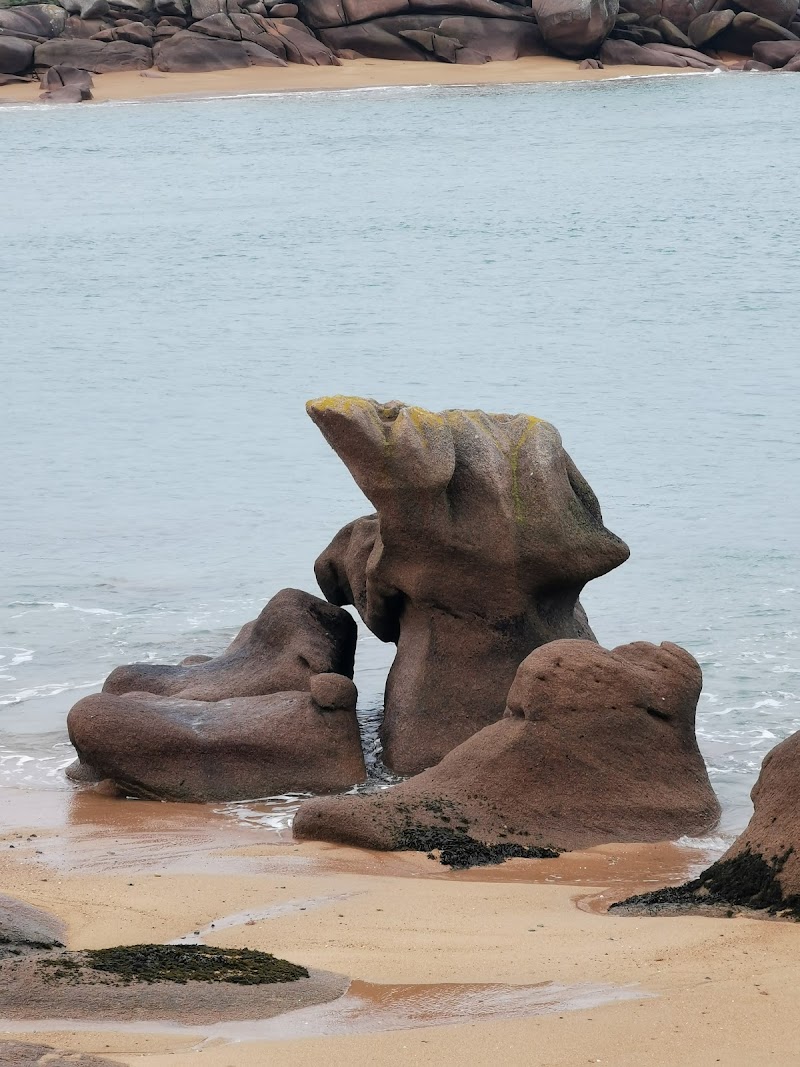 Île Renote - Île Renote, Trégastel, France