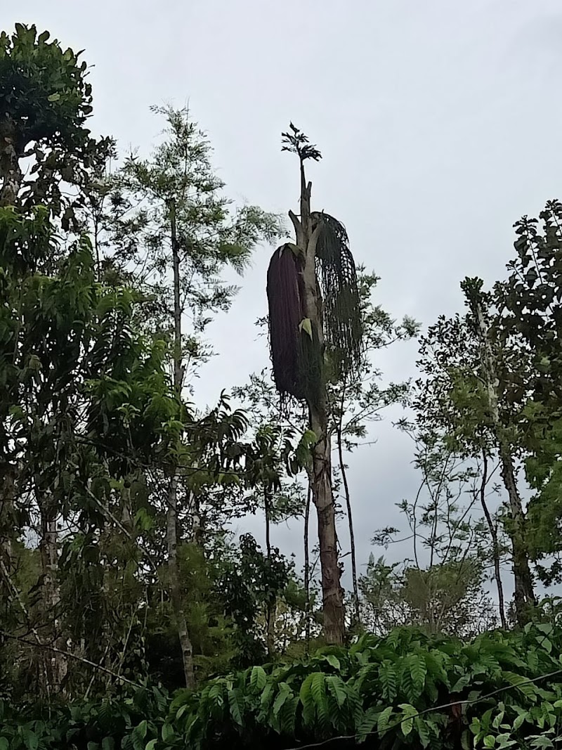 Aldur - Aldur, Karnataka, India