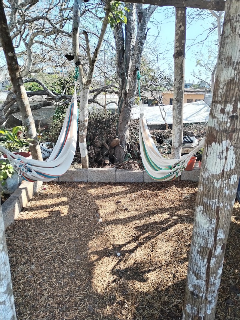 Hostal Palma Del Mar 2 - Hostal Palma Del Mar 2, EC200150, Puerto Baquerizo Moreno, Ecuador
