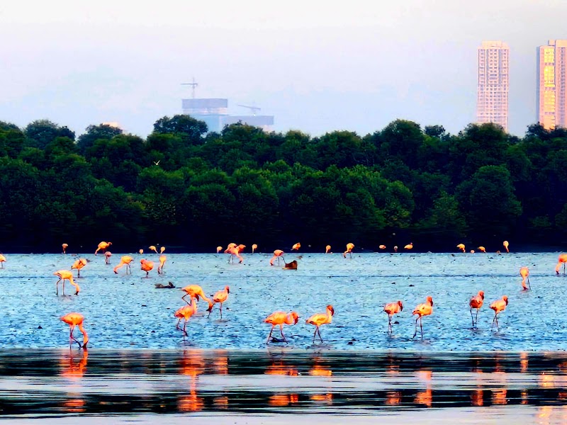 Nature Explorers India - Nature Explorers India 6th floor, Nirmal Corporate Center, 604, Lal Bahadur Shastri Marg, Moti Nagar, Mulund Colony, Mulund West, Mumbai, Maharashtra 400080, India