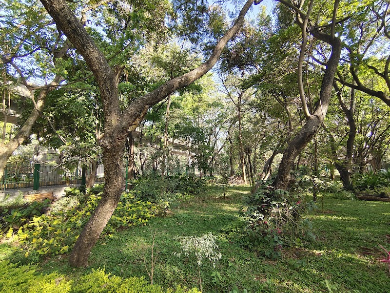 Jayanagara Kiru Kādu - Jayanagara Kiru Kādu WHFH+QXJ, 7th Block, Jayanagar, Bengaluru, Karnataka 560070, India