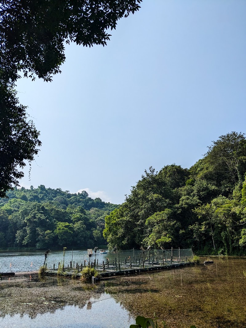 Pookode Lake - Pookode Lake Pookode Lake, Kunnathidavaka, Kerala 673576