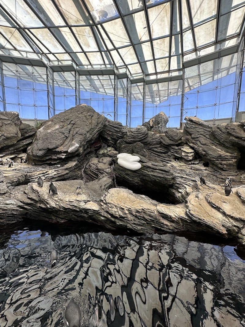 Oceanário de Lisboa - Oceanário de Lisboa, Esplanada Dom Carlos I s/nº, 1990-005 Lisboa, Portugal