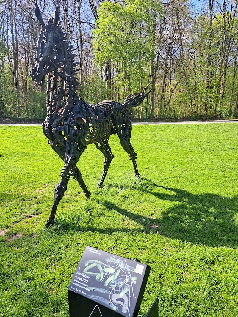 Cambre Woods - Cambre Woods Brussels, Belgium