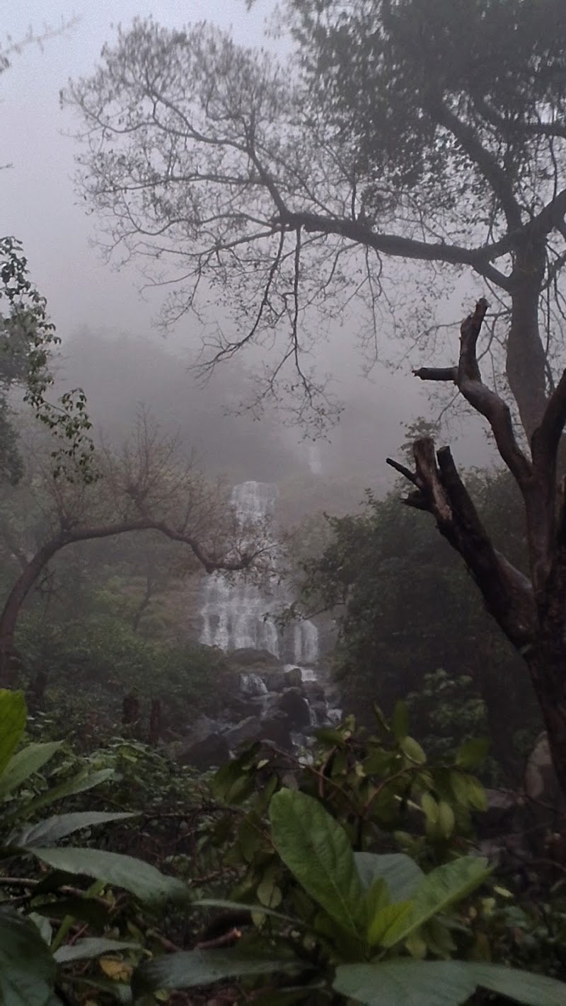 Tamhini Ghat - Tamhini Ghat, FGJ3+VGQ, Tamhini Ghat Rd, Dhamale Wadi, Gonawadi, Mulshi, Maharashtra 412108, India