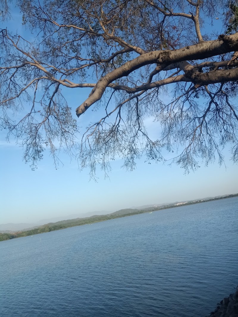 The Lake Peepal Tree - The Lake Peepal Tree PRR6+VV8, Sector 1, Chandigarh, 160001, India