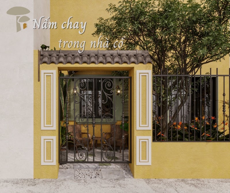 Nấm - Vegetarian Bistro - Nấm - Vegetarian Bistro 67C Đinh Công Tráng, Phường Tân Định, Quận 1, Thành phố Hồ Chí Minh 70000, Vietnam
