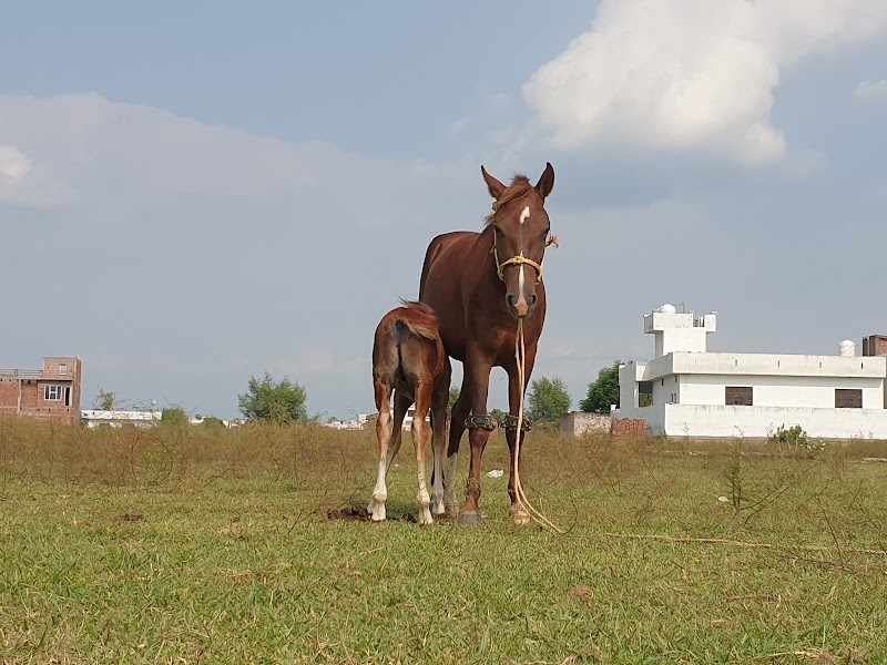 Gagore vijaypur