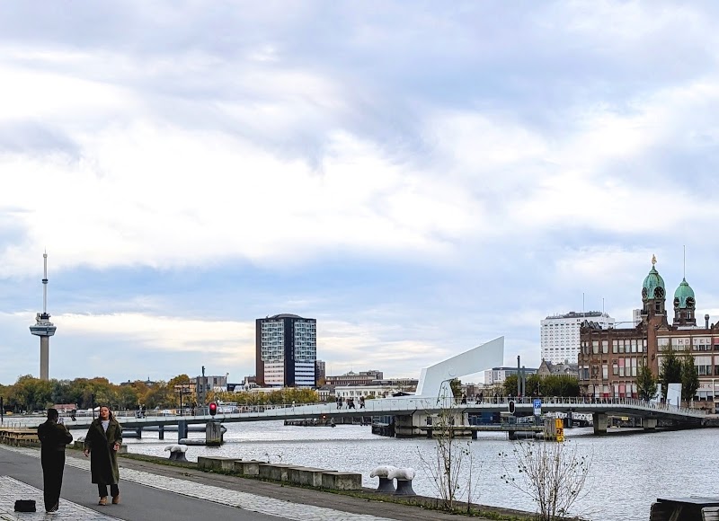 Rijnhavenbrug - Rijnhavenbrug 3072, 3072 ME Rotterdam, Netherlands
