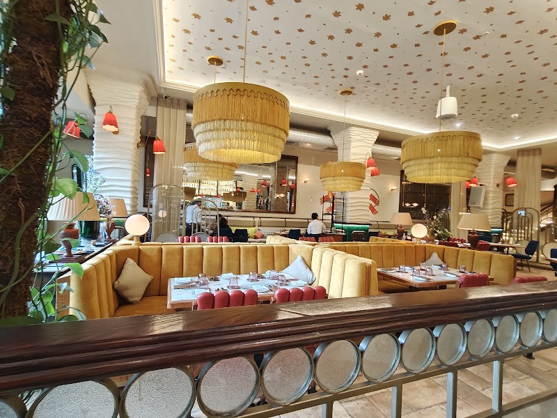 LUPA - LUPA Ground Floor, NO.86, SPENCER'S TOWERS, Mahatma Gandhi Rd, Haridevpur, Shanthala Nagar, Ashok Nagar, Bengaluru, Karnataka 560001, India