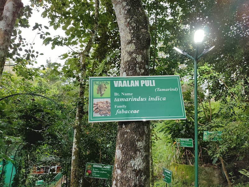 The Spice Route Ayurvedic & Spices Garden - The Spice Route Ayurvedic & Spices Garden Amaravathi, Kumily, Kerala 685509, India