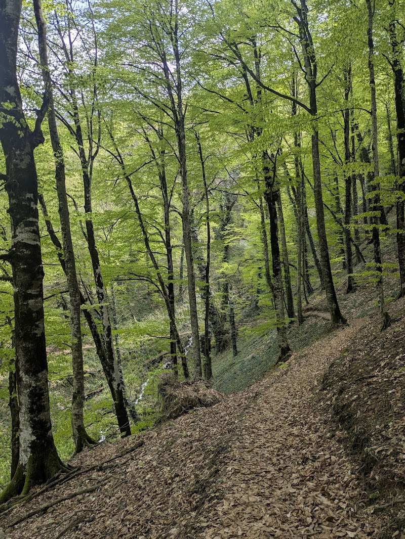 Ninoskhevi Waterfall Trailhead - ნინოსხევის ჩანჩქერის ბილიკის დასაწყისი - Ninoskhevi Waterfall Trailhead - ნინოსხევის ჩანჩქერის ბილიკის დასაწყისი, Lagodekhi Municipality, Georgia