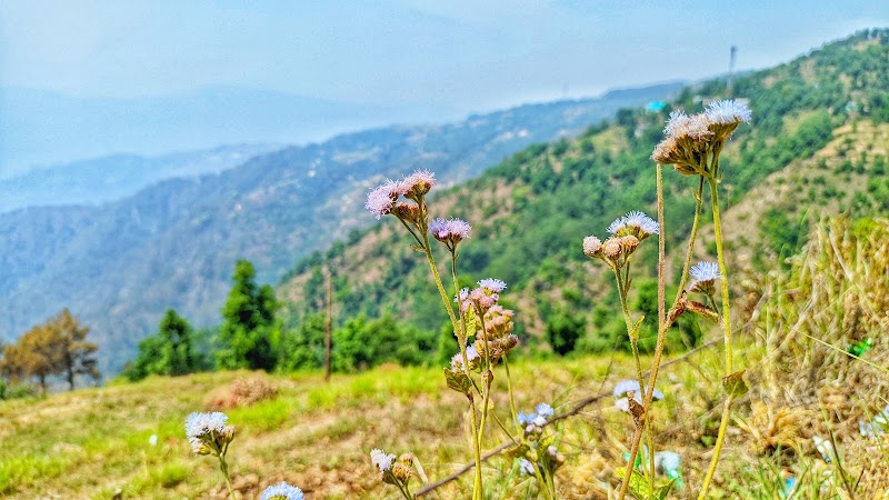 Champawat - Champawat, Uttarakhand 262523, India