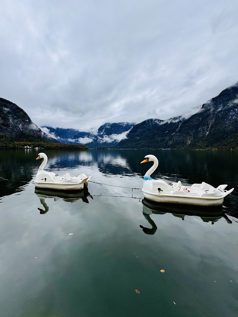Bootsvermietung Schwarzmayr - Boat Rental - Bootsvermietung Schwarzmayr - Boat Rental Hallstätter, 4830 See, Austria