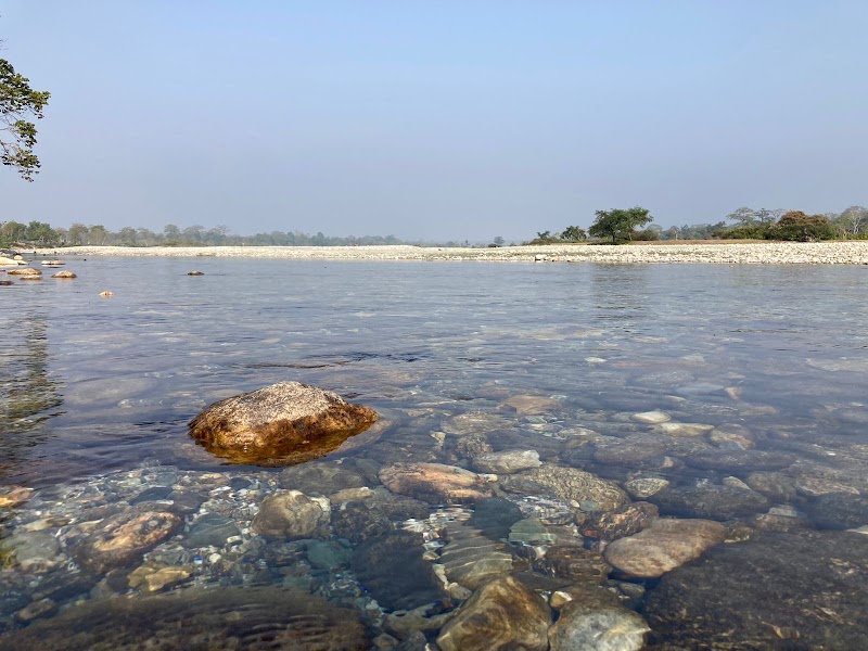 Dooars - Dooars, dhupjhora, batabari, jalpaiguri dooars, RQJV+3MR, Batabari, West Bengal 735206, India