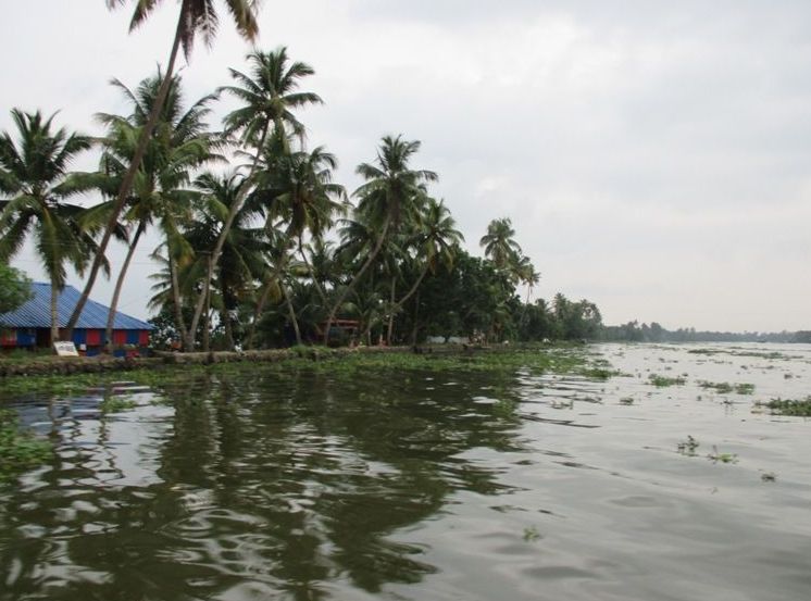 Pallathuruthy Back Waters