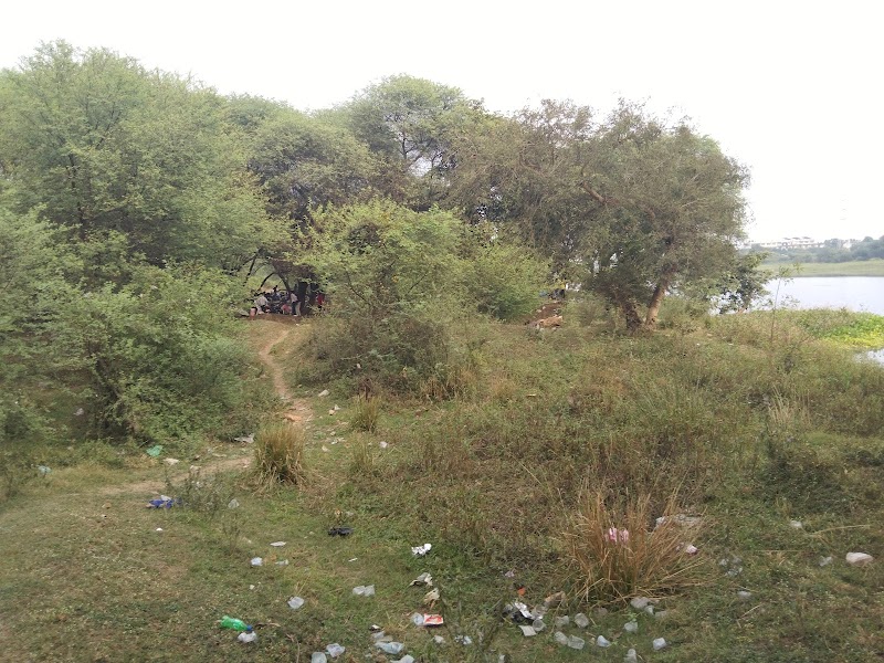 Datrenga Picnic Spot - Datrenga Picnic Spot 5J6F+Q9Q, Jamrao, Chhattisgarh 491111, India