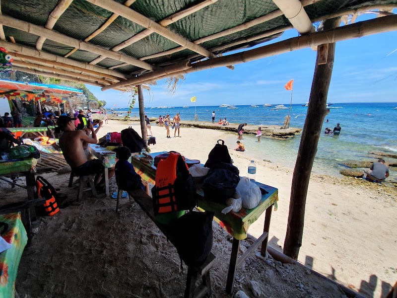 Apo Island - Apo Island, Dauin, Negros Oriental, Philippines