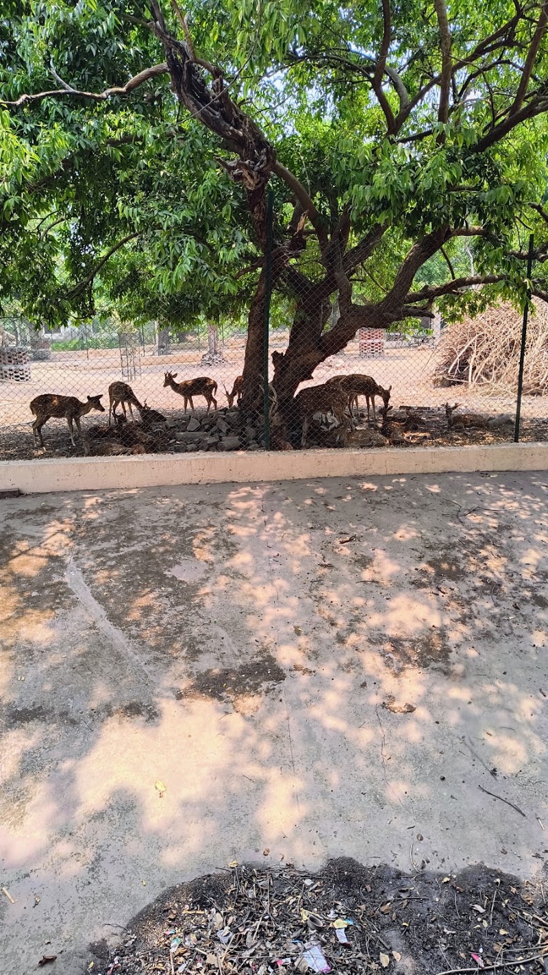 Sarnath Park Varanasi - Sarnath Park Varanasi 92JG+C8H, Sarnath, Varanasi, Uttar Pradesh 221007, India
