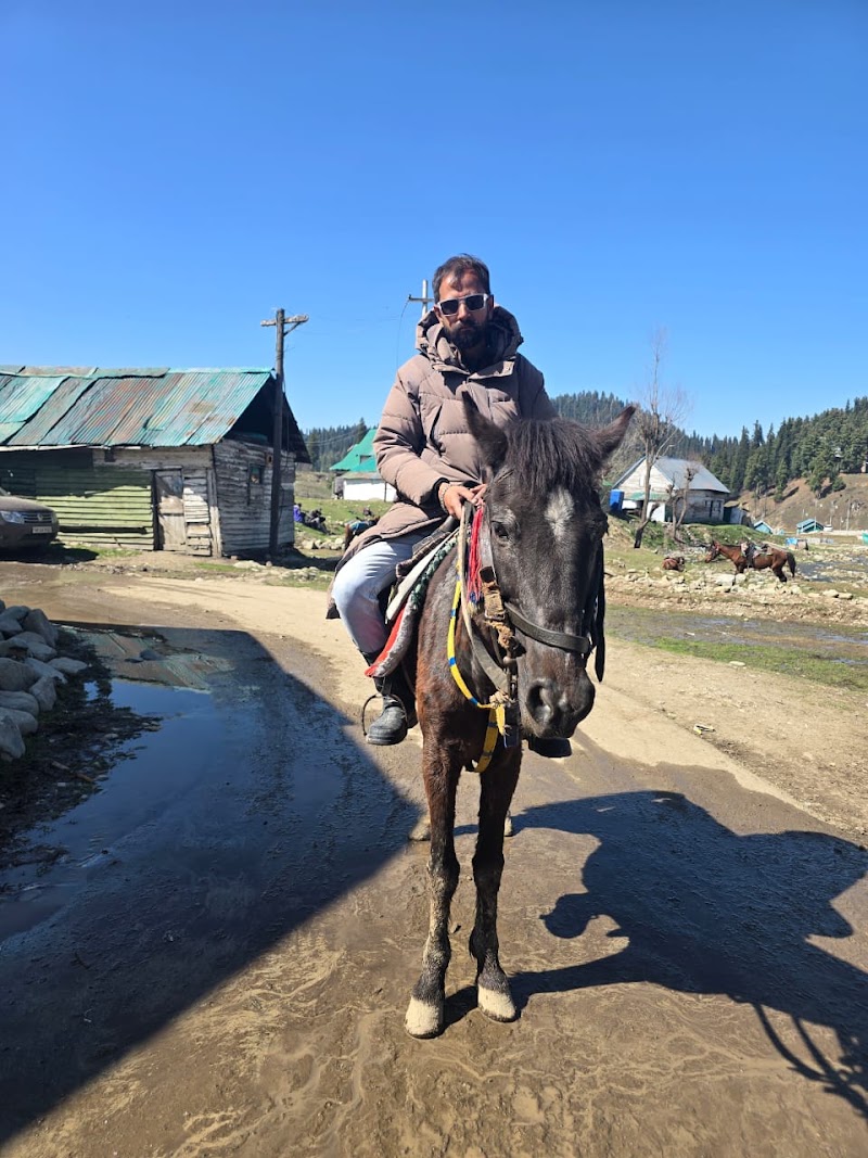 Gulmarg Tours - Gulmarg Tours Golf View Hut, Green Heights, near Hotel Kolahoi, Gulmarg, 193403