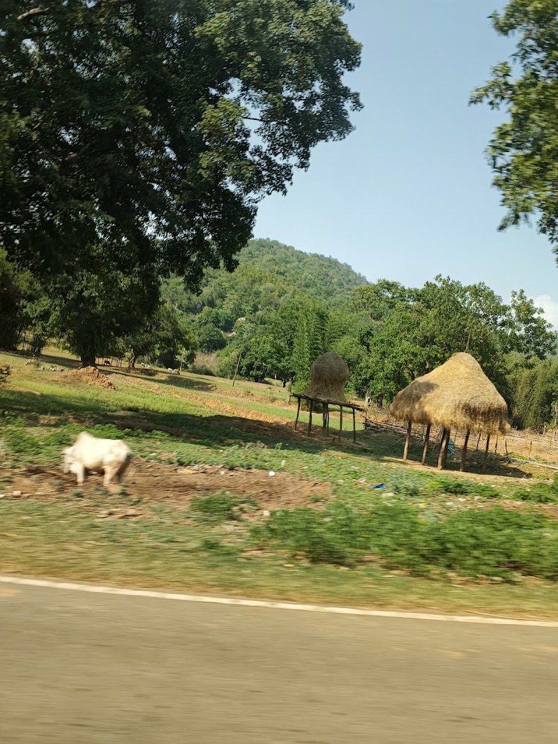 Netarhat valley - Netarhat valley C7FH+Q24, Ghaghra - Netarhat Rd, Langratanr, Jharkhand 835218, India