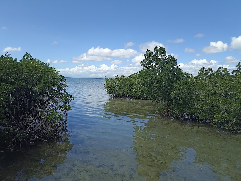 San Vicente Marine Sanctuary - San Vicente Marine Sanctuary, 62XF+C4Q, Lapu-Lapu, Philippines