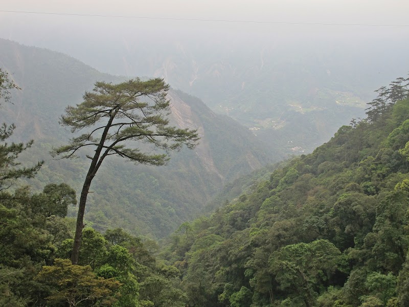 Daxueshan National Forest Recreation Area - Daxueshan National Forest Recreation Area, 424, Taiwan, Taichung City, Heping District, Zhongkeng Village, 雪山路18號