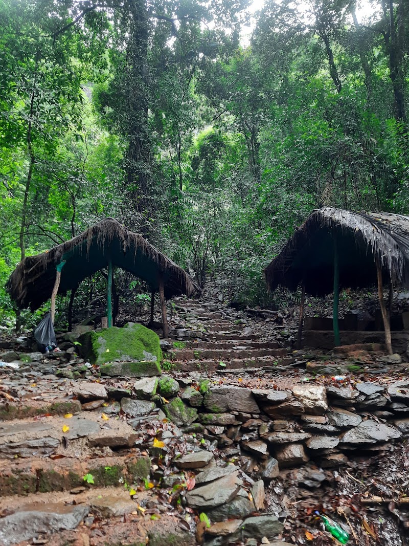 Kuske Waterfall - Kuske Waterfall 26C5+MFM, Cotigao, Goa 403702, India
