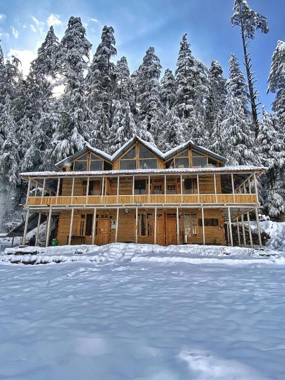 RAFA Shangarh - An Artistic Homestay - RAFA Shangarh - An Artistic Homestay Khata Khatauni No. 37/40, Shangarh, Tehsil, Shangarh, Himachal Pradesh 175134, India