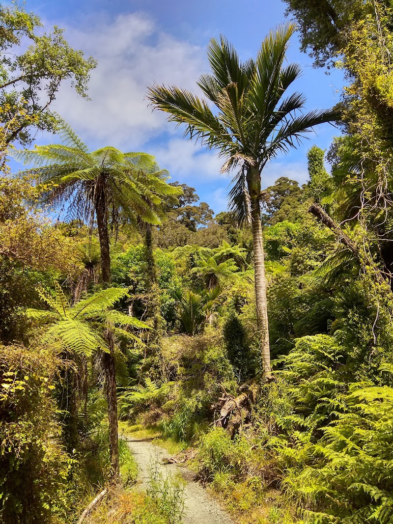 Paparoa Track Shuttles - Paparoa Track Shuttles, 12 Owen Street, Punakaiki 7873, New Zealand
