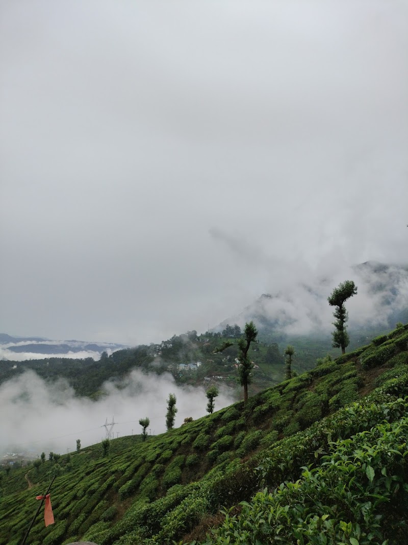 Munnar jeep safari explore (cabs) - Munnar jeep safari explore (cabs) police station, Near, dhanushkodi road, Nullatanni, Munnar, Kerala 685612, India