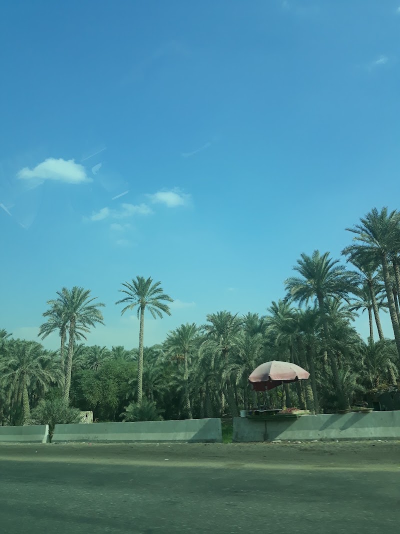 Mit Rahinah - Mit Rahinah, Badrshein, Giza Governorate, Egypt