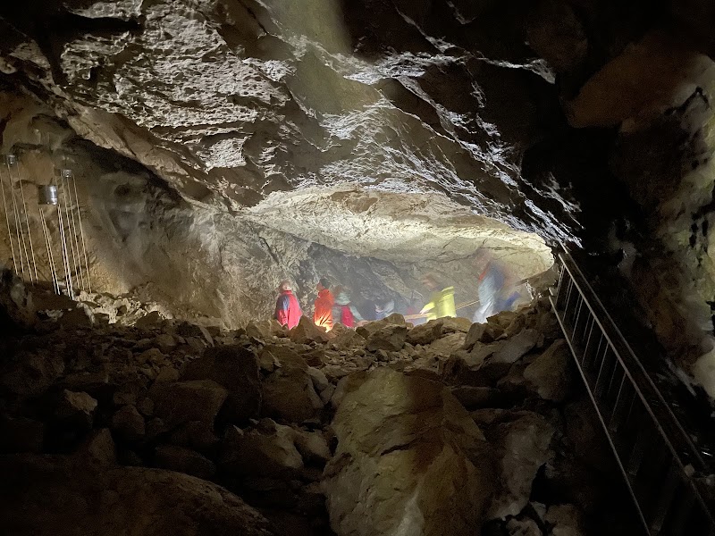 Koppenbrüller Cave - Koppenbrüller Cave, Winkl 34, 4831 Obertraun, Austria