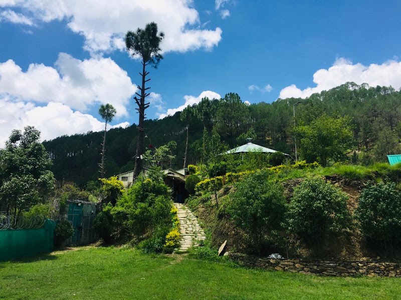 Vishnu Vibe Homestay - Vishnu Vibe Homestay, Josiyana, Gadka Margaon, Uttarakhand 246166, India