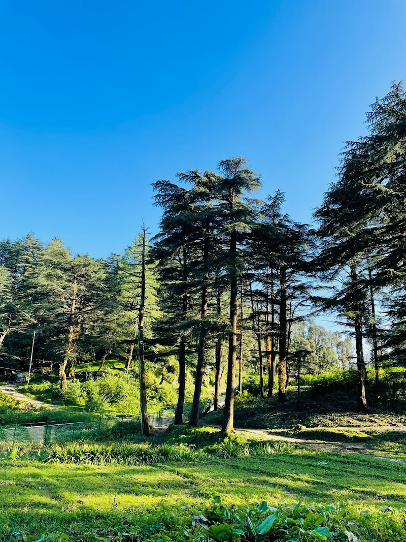 Mussoorie treks and hikes- Camping and trekking in Mussoorie - Mussoorie treks and hikes- Camping and trekking in Mussoorie Near mussoorie food plaza, hathipaon, Mussorie, pincode 248179, Khanij Nagar, Mussoorie, Uttarakhand 248179, India
