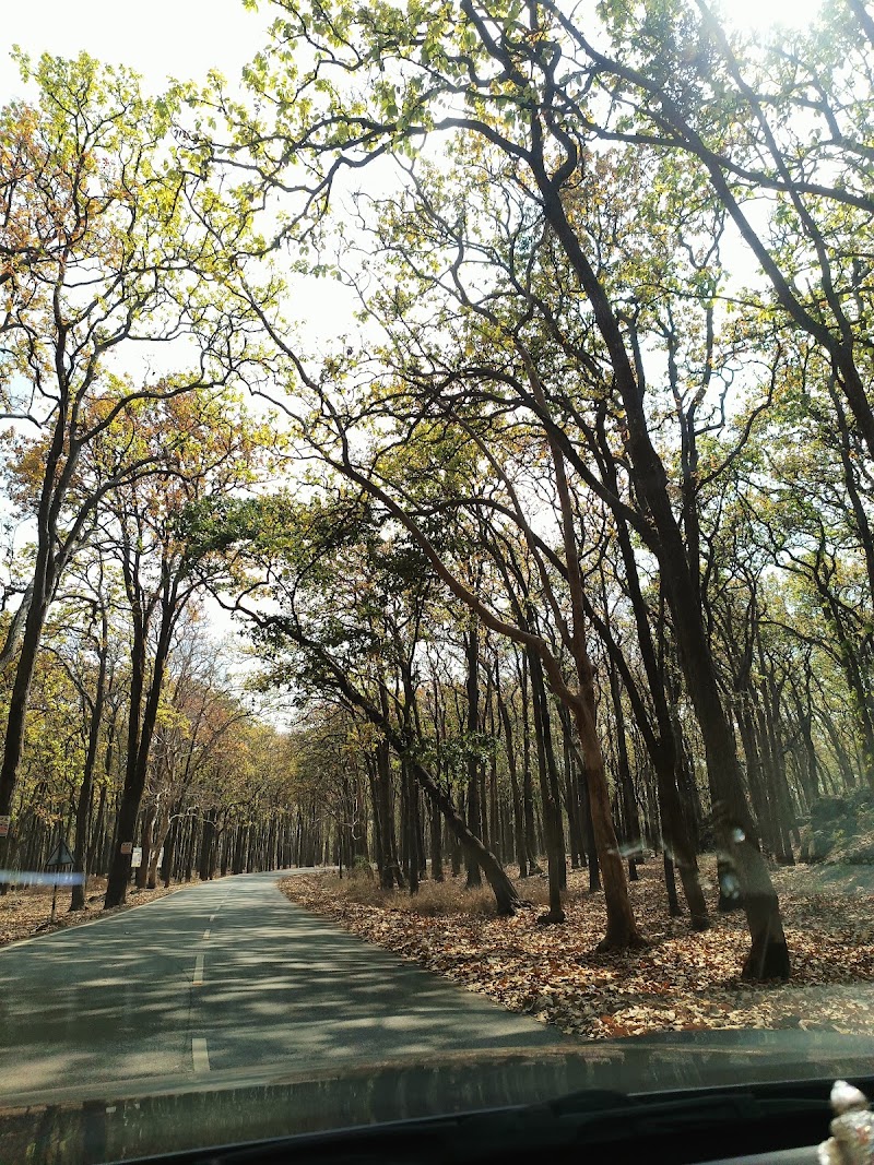 NETARHAT SUNRISE VIEW POINT - NETARHAT SUNRISE VIEW POINT F7PH+R4G, Netarhat, Jharkhand 835218, India