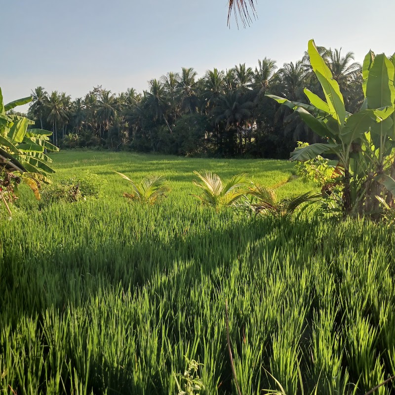 Campuhan Ridge Walk Temple House - Campuhan Ridge Walk Temple House G744+59H, Jl. Bangkiang Sidem, Keliki, Kec. Tegallalang, Kabupaten Gianyar, Bali 80571, Indonesia
