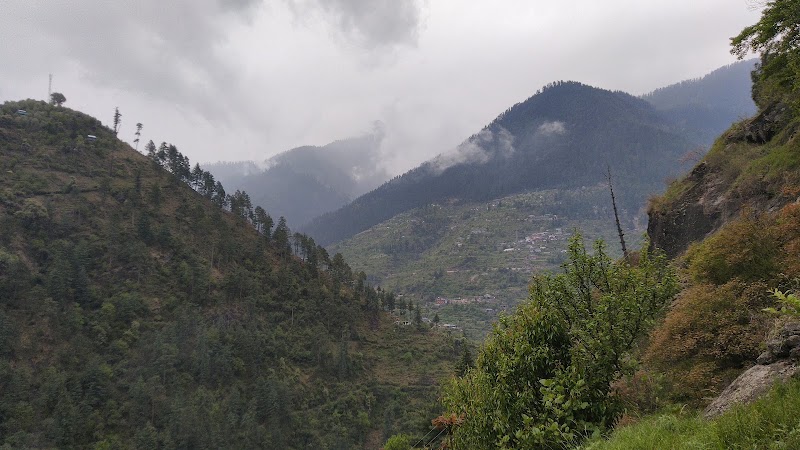 The Whispering Woods Tirthan - The Whispering Woods Tirthan The Whispering Woods Tirthan, Ropajani, Gushaini, Tindar, Himachal Pradesh 175123, India