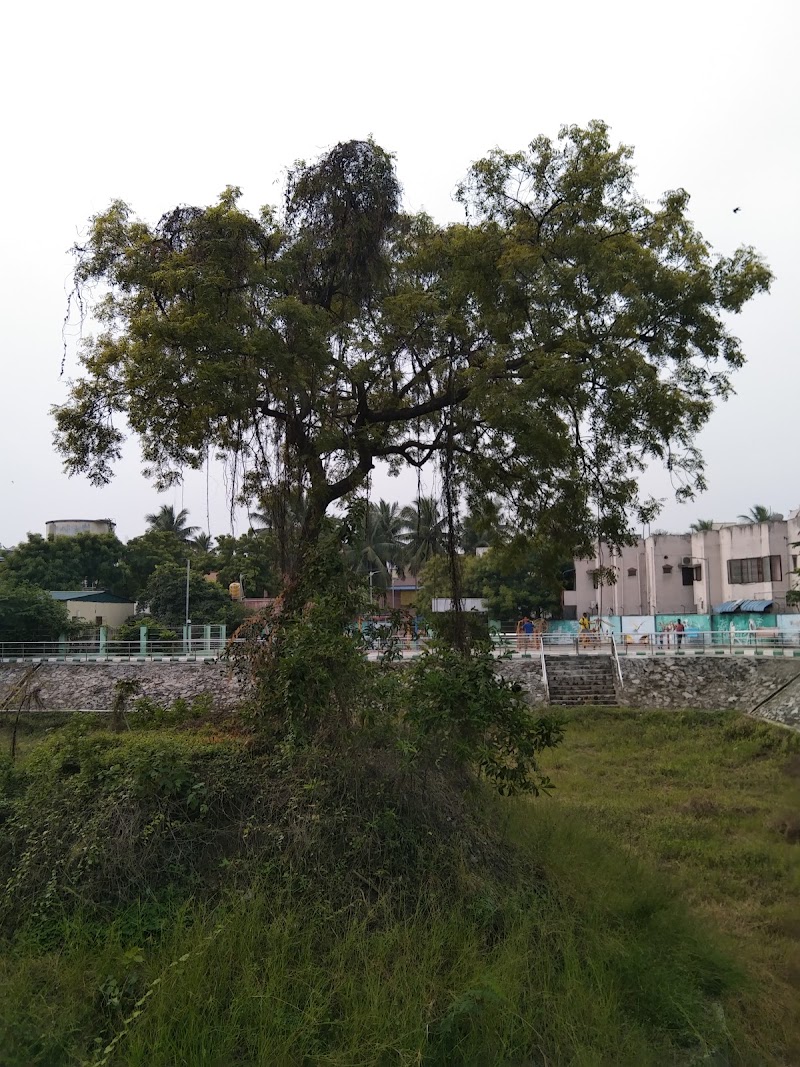 Naickar kuttai park - Naickar kuttai park X54X+VFR, Dr Ambedkar Salai, Periyar Nagar Extension, Periyar Nagar, Madipakkam, Tambaram, Tamil Nadu 600091, India