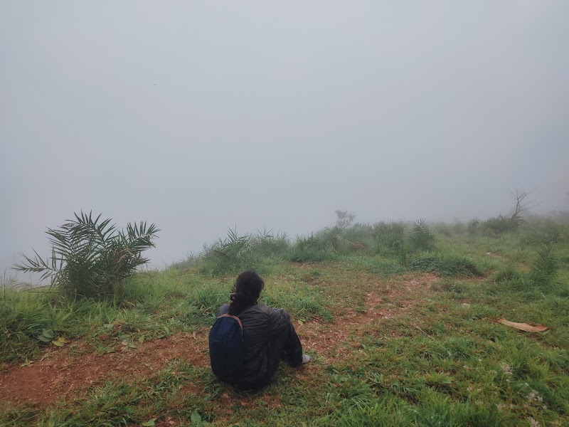 Kaginahare Viewpoint - Kaginahare Viewpoint RM57+PCJ, Kaginahare, Balehalla, Karnataka 573123, India
